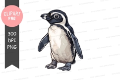 Cute penguin clipart png Product Image 1