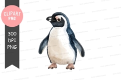 Penguin clipart png Product Image 1