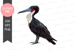 Black cormorant clipart png Product Image 1