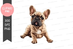 Cute french bulldog puppy clipart png Product Image 1