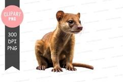 Cute fennec fox clipart png Product Image 1