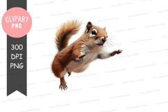 Jumping squirrel clipart png Product Image 1