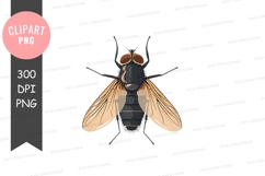 Clipart png of a fly Product Image 1
