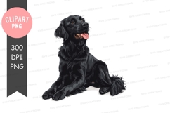 Happy black dog clipart png Product Image 1