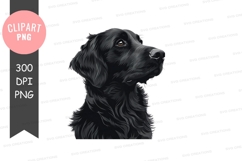 Black dog portrait clipart png Product Image 1