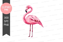 Pink flamingo clipart png Product Image 1