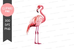 Pink flamingo clipart png Product Image 1