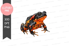 Vibrant fire-bellied toad Product Image 1
