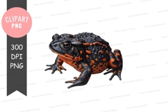 Black and orange frog clipart png Product Image 1