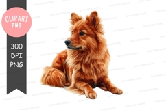 Cute pomeranian dog clipart png Product Image 1