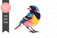 Colorful bird clipart png Product Image 1