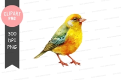 Vibrant yellow and green bird Product Image 1