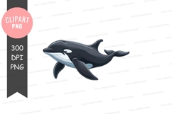 Cartoon orca whale Product Image 1