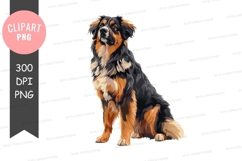 Majestic bernese mountain dog Product Image 1