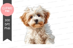 Portrait of a cute puppy Product Image 1