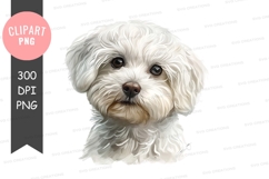 Cute white puppy clipart png Product Image 1
