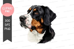 Portrait of a bernese mountain dog Product Image 1