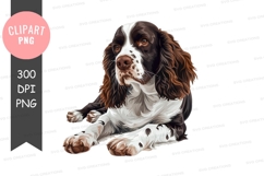 Portrait of a brown and white dog Product Image 1