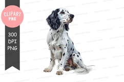 English setter dog clipart png Product Image 1