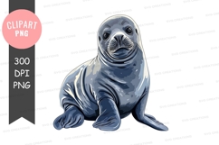 Cute seal pup clipart png Product Image 1
