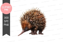 Echidna clipart png Product Image 1