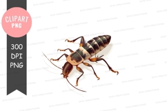 Cockroach clipart png Product Image 1
