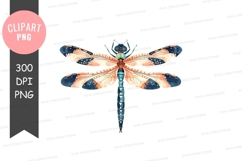 Colorful dragonfly clipart png Product Image 1
