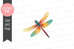 Colorful dragonfly clipart png Product Image 1
