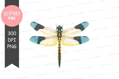 Colorful dragonfly clipart png Product Image 1