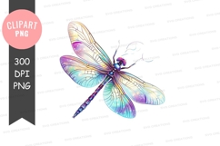 Colorful dragonfly clipart png Product Image 1