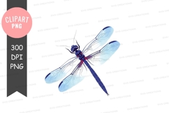 Blue dragonfly clipart png Product Image 1