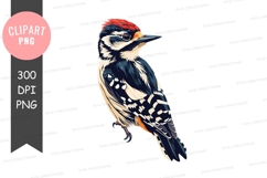 Woodpecker clipart png Product Image 1