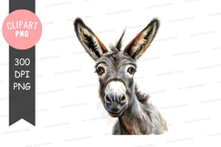 Curious donkey clipart png Product Image 1