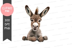Cute donkey clipart png Product Image 1