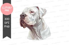 White bulldog clipart png Product Image 1