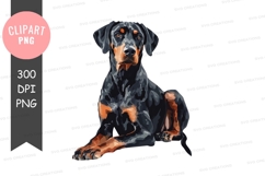 Portrait of a doberman pinscher Product Image 1