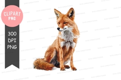Sitting fox clipart png Product Image 1