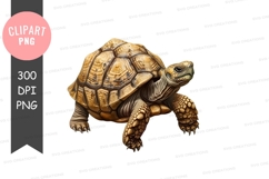 Tortoise clipart png Product Image 1