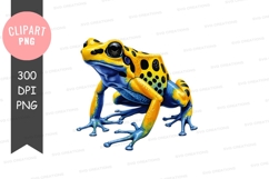 Vibrant poison dart frog Product Image 1