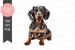 Cute dachshund puppy clipart png Product Image 1
