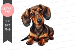 Cute dachshund puppy clipart png Product Image 1