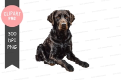 Chocolate labrador retriever clipart png Product Image 1