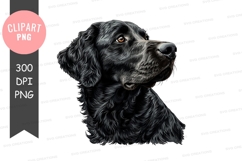 Portrait of a black dog Product Image 1