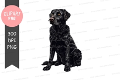 Black labrador retriever clipart png Product Image 1
