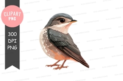 Bird clipart png Product Image 1