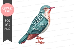 Colorful bird clipart png Product Image 1