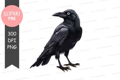 Black crow clipart png Product Image 1