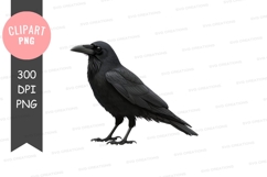 Black crow clipart png Product Image 1