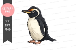 Penguin clipart png Product Image 1