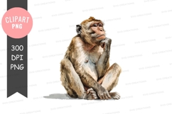 Thinking monkey clipart png Product Image 1